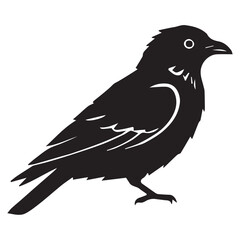 Silhouette of a bird on white background	