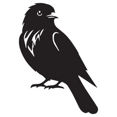 Silhouette of a bird on white background	
