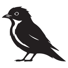 Silhouette of a bird on white background	