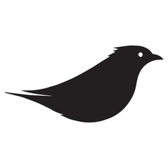 Silhouette of a bird on white background	