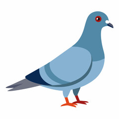 new pigeon vector icon on white background