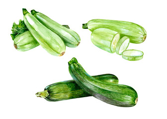 Green whole and sliced ​​zucchini, vegetable set. Hand drawn watercolor illustration isolated on white background for label design, poster, advertising.