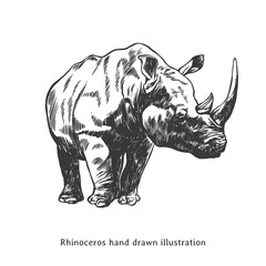 Rhinoceros sketch. Rhinoceros illustration. Vintage rhinoceros hand drawn illustration