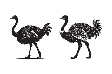 Ostrich Silhouette Illustration with Detailed Feather Patterns