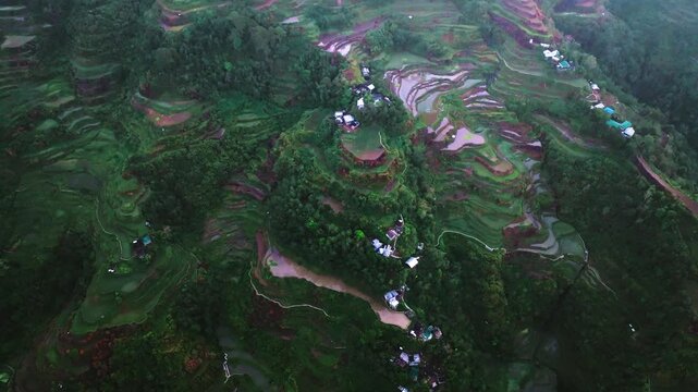 Aerial view of Banaue Rice Terraces, Ifugao, Philippines.
these ancient rice fields cascading down the mountainside, a testament to the ingenuity and perseverance of the Ifugao people