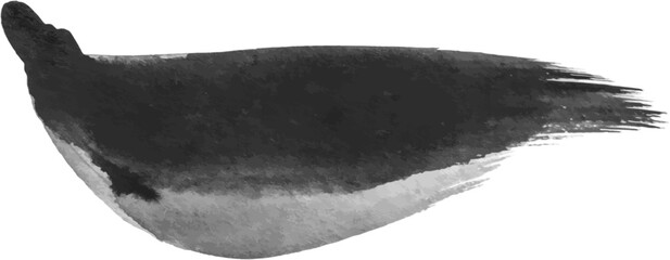 Fototapeta premium Vector Watercolor painted brush stroke. Hand drawn design element isolated on white background