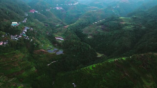 Aerial view of Banaue Rice Terraces, Ifugao, Philippines.
these ancient rice fields cascading down the mountainside, a testament to the ingenuity and perseverance of the Ifugao people
