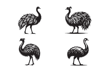 Stylish Black and White Silhouettes of Elegant Ostriches