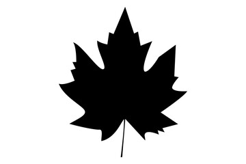 Leaf icon silhouette vector illustration
