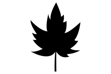 Leaf icon silhouette vector illustration
