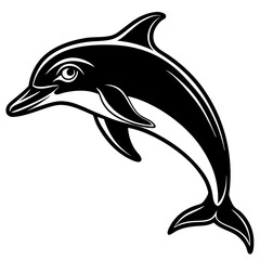 dolphin isolated on white background