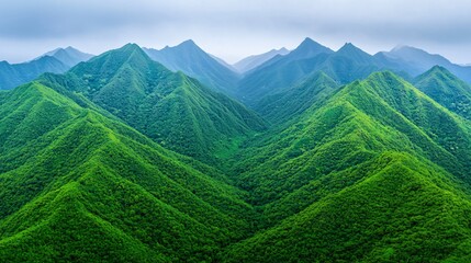Obraz premium Lush green mountainscape, vibrant foliage covering steep slopes, under a cloudy sky.