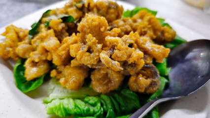 Asian Seafood Dishes: Deep Fried Squid or Calamari on the plate. 