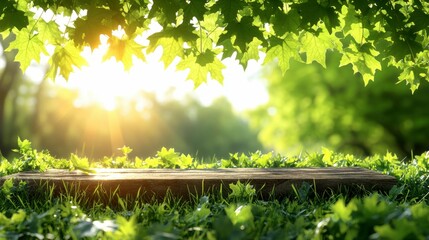 Fototapeta premium A vibrant spring background featuring lush green foliage and a rustic wooden table set in a natural outdoor environment, with soft bokeh and sunlight filtering through the leaves