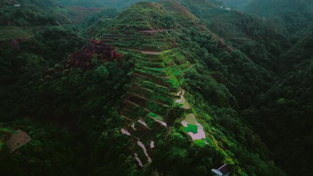 Aerial view of Banaue Rice Terraces, Ifugao, Philippines.
these ancient rice fields cascading down the mountainside, a testament to the ingenuity and perseverance of the Ifugao people