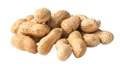 Dried peanuts isolated