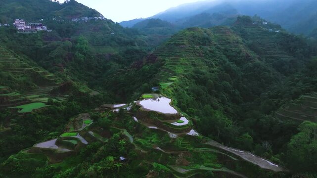 Aerial view of Banaue Rice Terraces, Ifugao, Philippines.
these ancient rice fields cascading down the mountainside, a testament to the ingenuity and perseverance of the Ifugao people