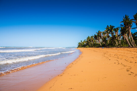 More than a mile long and shaded with coconut trees, Luquillo beach is a beautiful place to sunbathe and enjoy the ocean.