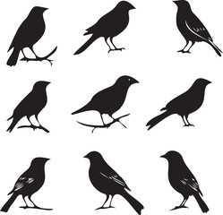 Birds sitting on a branch black silhouette vector isolated