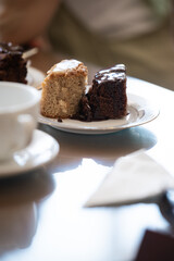 Indulging in sweet treats: two slices of cake resting on elegant plate beside teacup