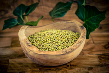 Mungobohnen Vigna radiata auf Olivenholz