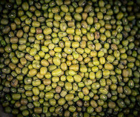 Mungobohnen Vigna radiata auf Olivenholz