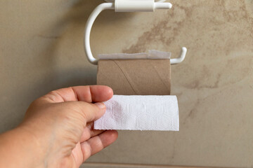 se terminó el papel higiénico también rollo higiénico, el papel de baño, el papel sanitario,...