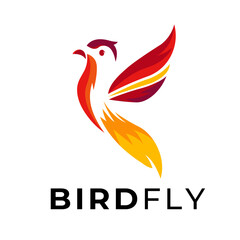 Fototapeta premium Humming Bird