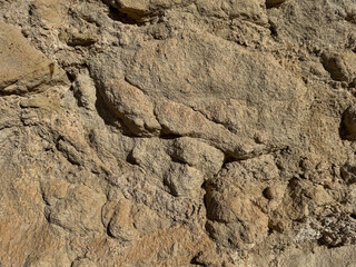 Rugged textured sandstone surface capturing natural detail and earthy tones
