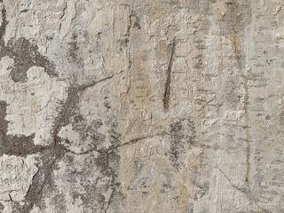 Weathered textured wall with cracks and peeling paint