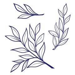 Decorative Twigs on a white background in a vector. Ruskus. Eps 10.Vector illustration.