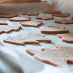 christmas gingerbread cookies