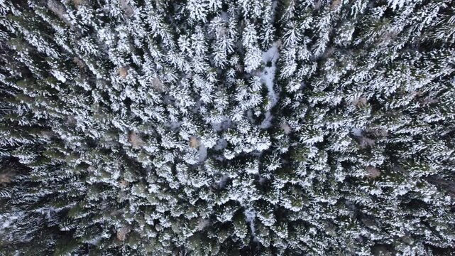 Vue de drone de la station de ski d'Auron, dans les Alpes, pr&egrave;s de Nice, France