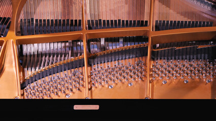 A close-up of the inside of a grand piano, showcasing the intricate arrangement of strings, bridges, and tuning pins. Top view. © VeNN