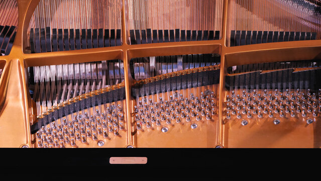 A close-up of the inside of a grand piano, showcasing the intricate arrangement of strings, bridges, and tuning pins. Top view.