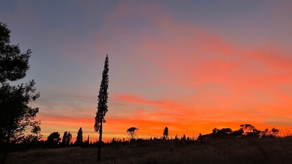 Orange sunset in Podgorica. High quality photo