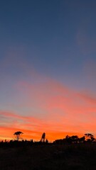 Orange sunset in Podgorica. High quality photo