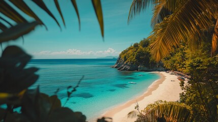 Tropical Beach Cove Serenity Clear Waters Boats Palm Trees
