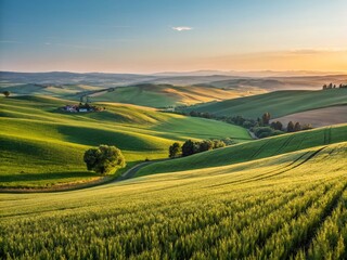 Obraz premium Lush Green Agricultural Field Landscape at Sunrise - Rural Farmland Scenery