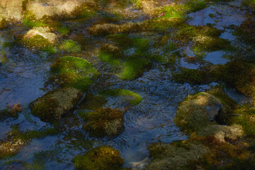 Clear water with green moss and stones in a serene natural setting