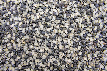Split Black Gram, Black Lentil (Urad Dal, Vigna Mungo) Full Frame Close-Up