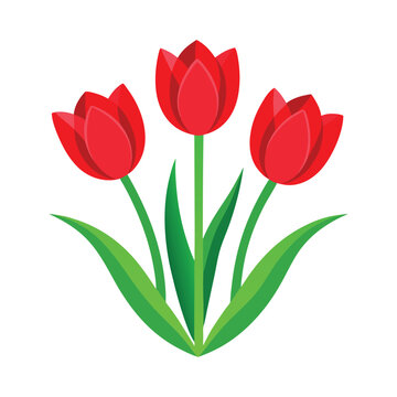 red tulips green leaves white background clip art preview