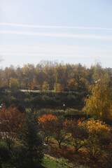 Serene Autumn Landscape with Vibrant Foliage and Clear Blue Sky in the Morning