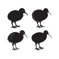 Set of kiwi bird silhouette, black and white silhouette, vector and illustration