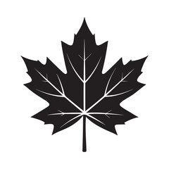 Obraz premium maple leaf silhouette, black and white silhouette, vector and illustration