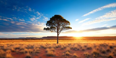 A solitary tree stands in a golden desert landscape at sunset, with vibrant skies and distant mountains. Concept Desert Landscape, Solitary Tree, Sunset Vibes, Vibrant Skies, Distant Mountains