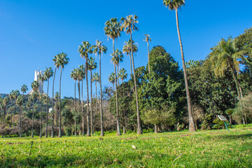 Algiers - Algeria, February 22, 2016: Botanical garden El-Hamma, jardin d'essai, One of the largest...