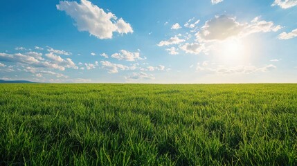 A vibrant green field stretches under a bright blue sky with fluffy clouds, bathed in warm sunlight, creating a serene and peaceful landscape.