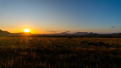Fototapeta premium Sunset Savanna