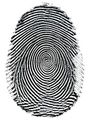 black fingerprint isolated on white or transparent png